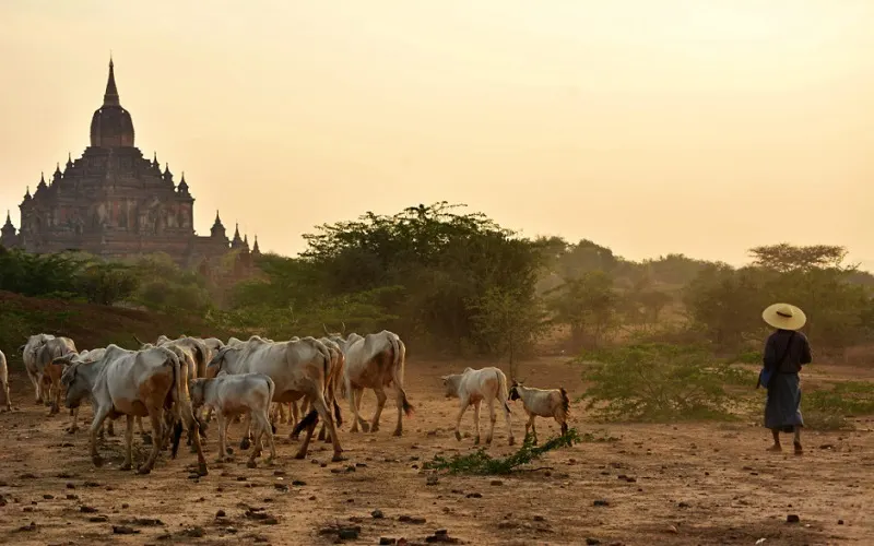 2 Night From Mandalay To Bagan